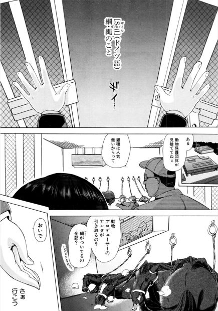 【エロ漫画】最新オナホを動物に使わせて獣姦セックスのゴールデン番組を放送しているプロデューサーのもとに巨乳美人アイドル4姉妹がオナホ代わりに。馬やオットセイの特大チンポを生挿入されて中出し獣姦セックスに悶絶逝きｗｗｗ