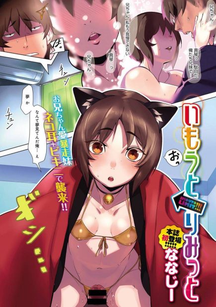 【エロ漫画】お兄ちゃん大好きな妹がネコ耳ビキニ姿エッチなスキンシップ求めてきて激しい近親相姦中出し濃厚セックスでもう妹のことしか考えられなくなるｗｗｗ