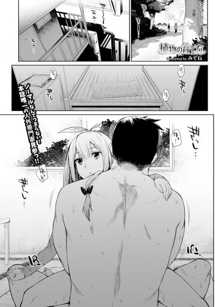 【エロ漫画】四十歳童貞男が人間の姿に近いマンドラゴラを買って彼女にしてセックスライフを楽しむｗｗ毎日生ハメしたらお返ししたいと言ってきてご奉仕セックスで野外で乱れ狂うｗｗｗ